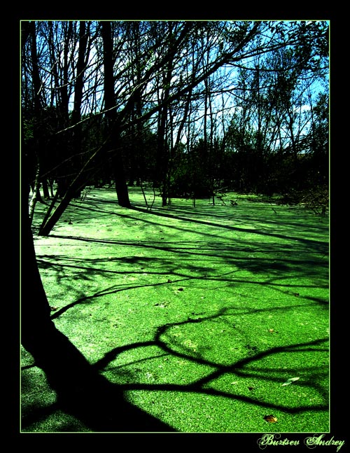 фото "Что-то про зеленое" метки: пейзаж, вода