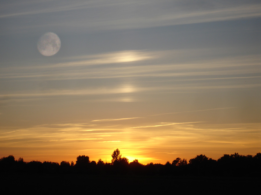 photo "place called Future" tags: landscape, summer, sunset