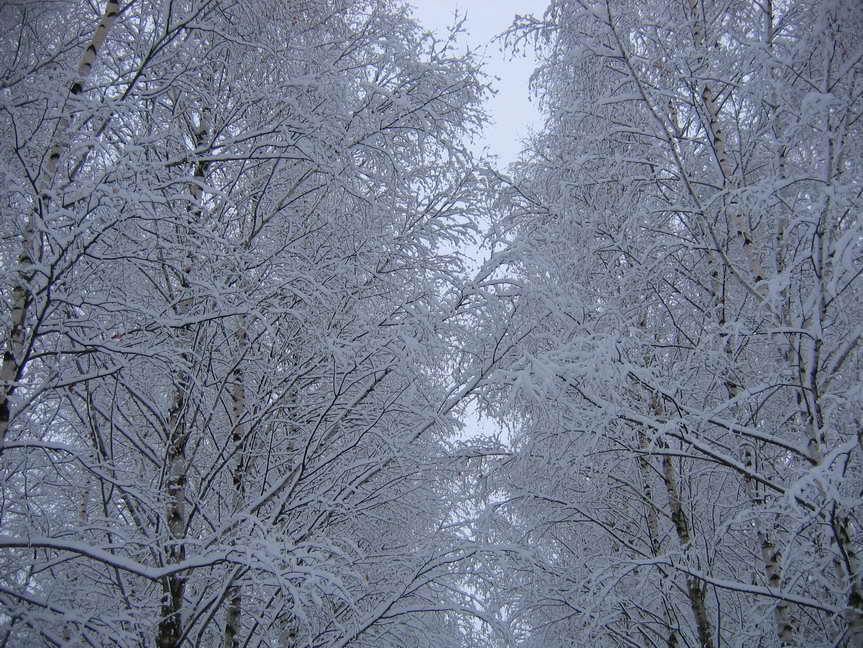 photo "***" tags: landscape, winter