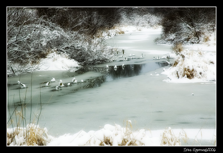 photo "Winter" tags: landscape, winter