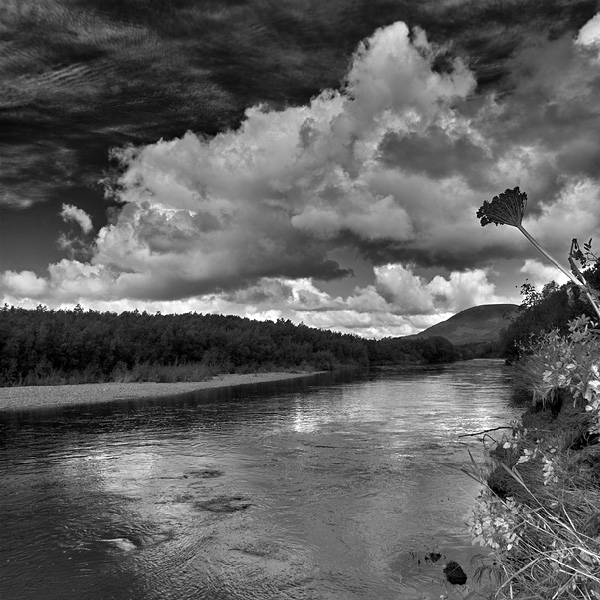 photo "Ripples" tags: landscape, nature, autumn