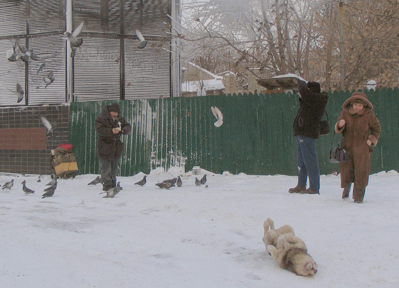 photo ")))" tags: PF life, 