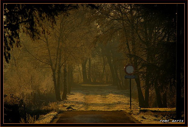 photo "dead end street" tags: landscape, nature, winter