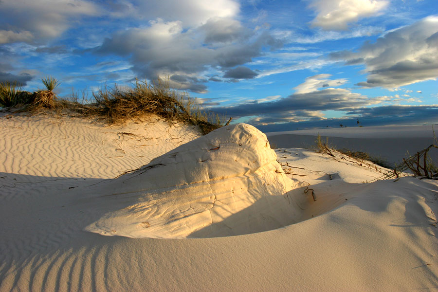 photo "Yellow Head" tags: landscape, travel, North America, sunset