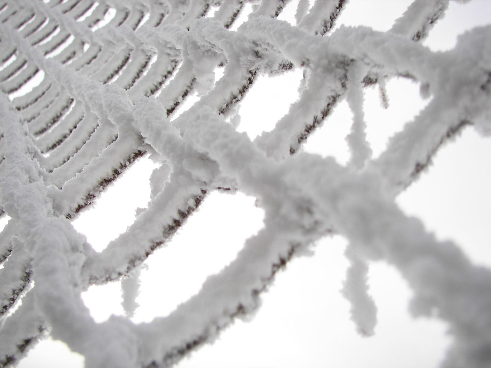 photo "Web from snow" tags: landscape, macro and close-up, winter