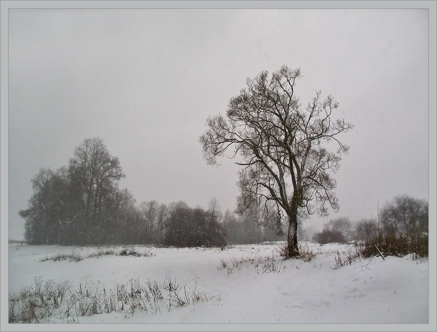 photo "Cold." tags: landscape, winter