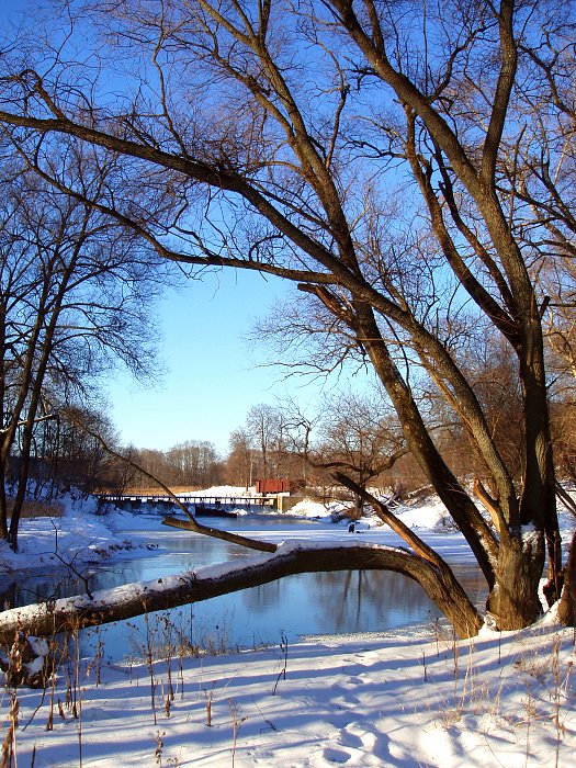 photo "***" tags: landscape, winter