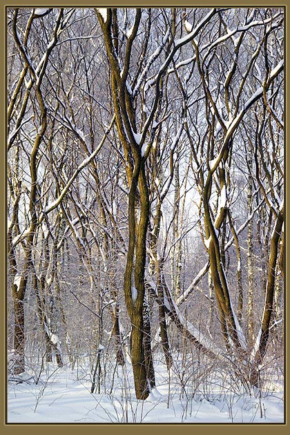 фото "***" метки: пейзаж, зима