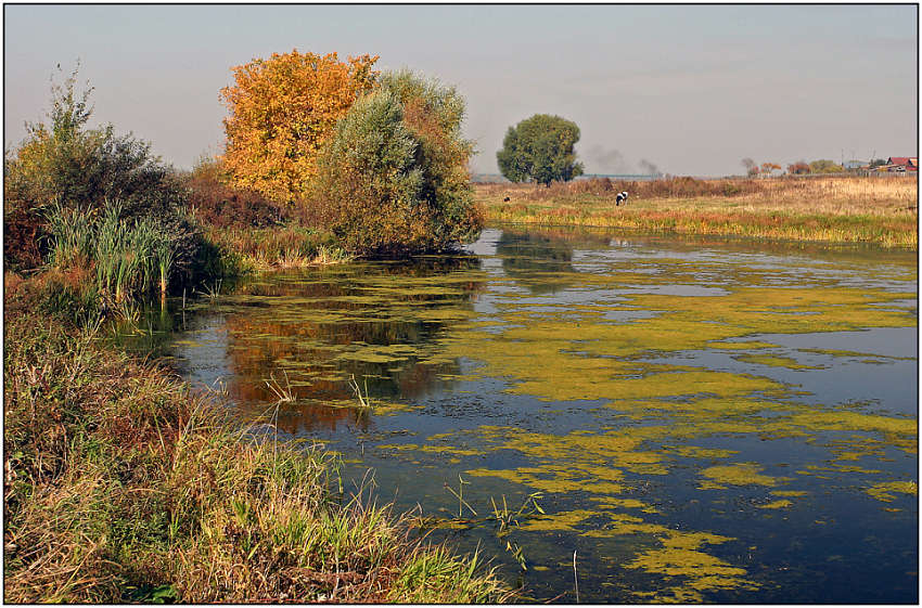 фото "Осенний мотив" метки: пейзаж, вода, осень