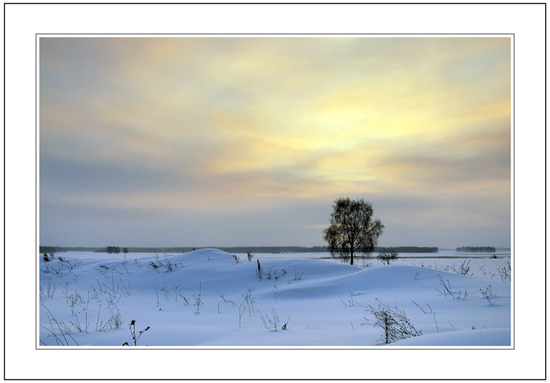 photo "CHILL" tags: landscape, winter