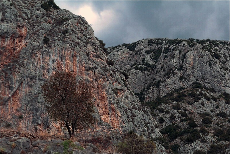 фото "Дельфы" метки: пейзаж, путешествия, Европа, горы