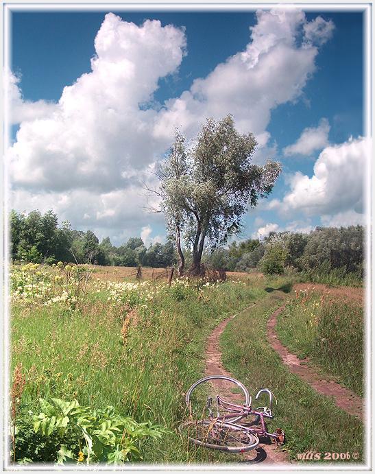 photo "Road in summer" tags: landscape, summer