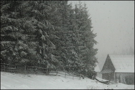 фото "winter tales 3" метки: пейзаж, горы, лес