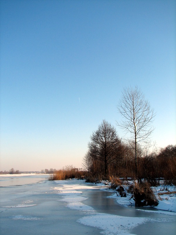 photo "The ice was thin..." tags: landscape, water, winter