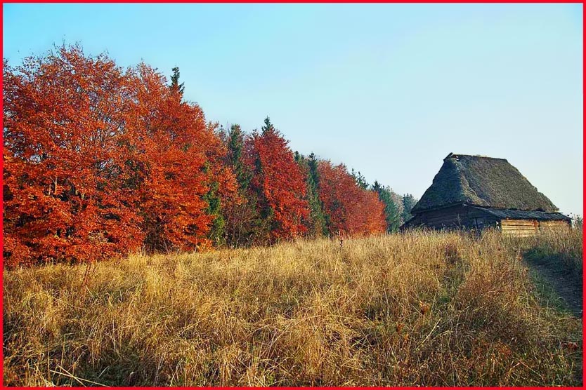 фото "На краю леса" метки: пейзаж, архитектура, осень