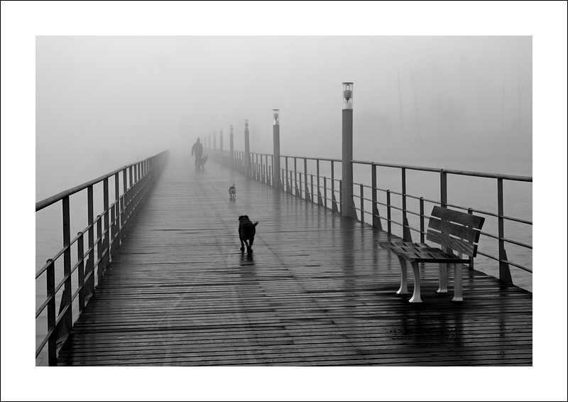 фото "Walk" метки: черно-белые, пейзаж, зима