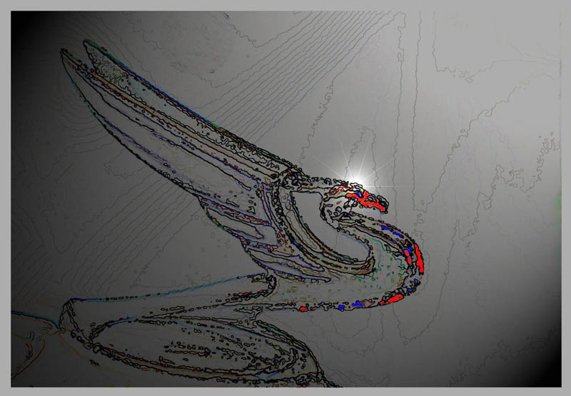 photo "Abstract Dragon" tags: abstract, 
