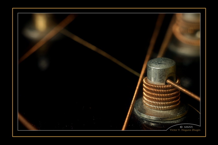 photo "On edge of guitar." tags: macro and close-up, misc., 