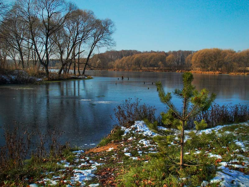 photo "On coast" tags: landscape, water, winter