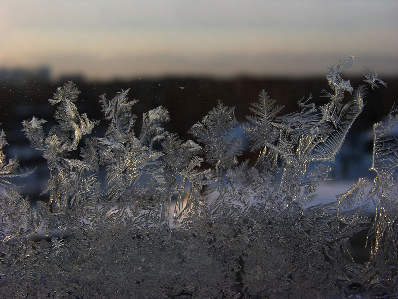 photo "Freeze driving on my window.." tags: macro and close-up, 