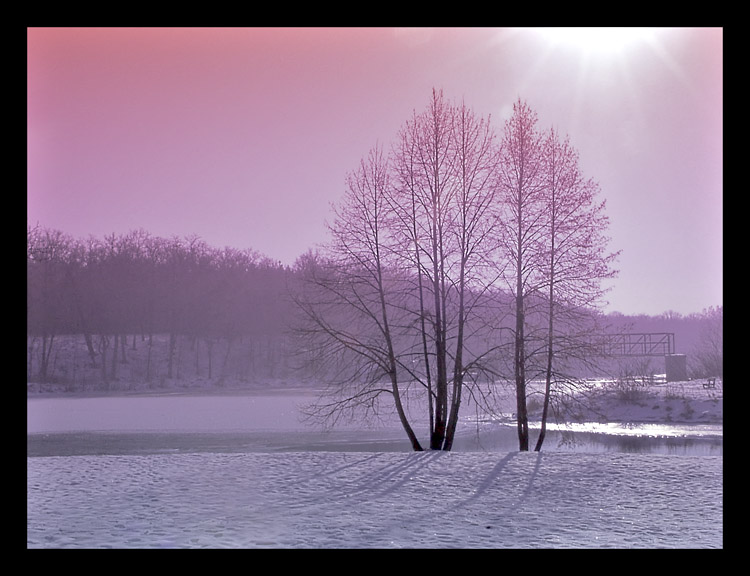 фото "winter" метки: пейзаж, 
