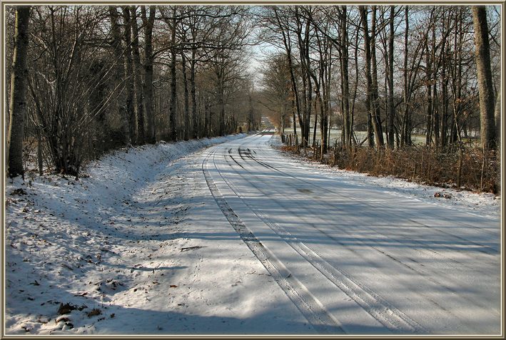 фото "the road" метки: пейзаж, зима, лес