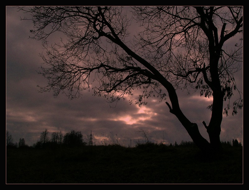 фото "***" метки: пейзаж, 
