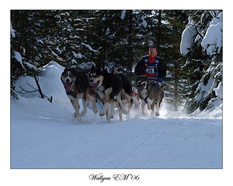 photo "The race" tags: sport, 