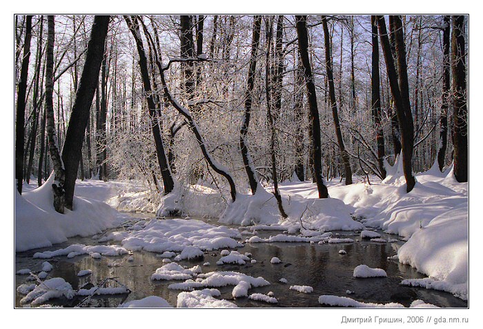 photo "Winter Landscape" tags: landscape, forest, winter