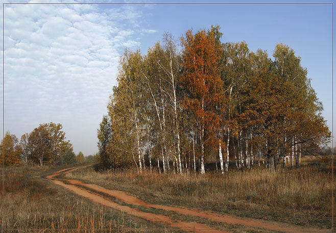 photo "Banal autumn landscape" tags: landscape, autumn, forest