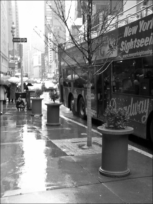 photo "Rainy Sunday" tags: black&white, 