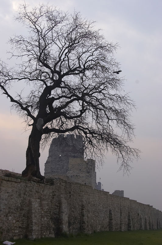photo "Konstantinopol. Walls." tags: architecture, travel, landscape, Asia