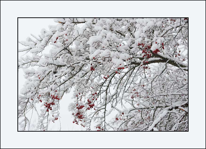 photo "***" tags: landscape, winter