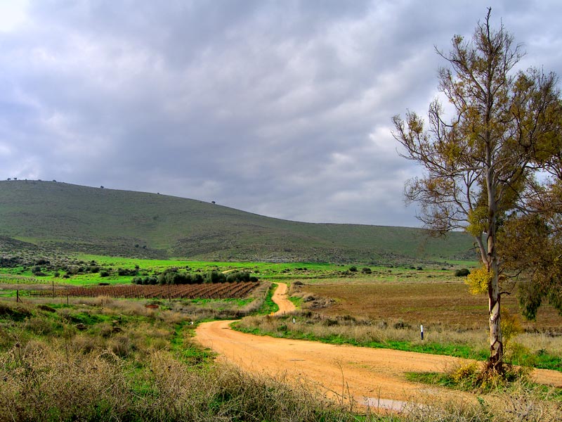 photo "***" tags: landscape, nature, 