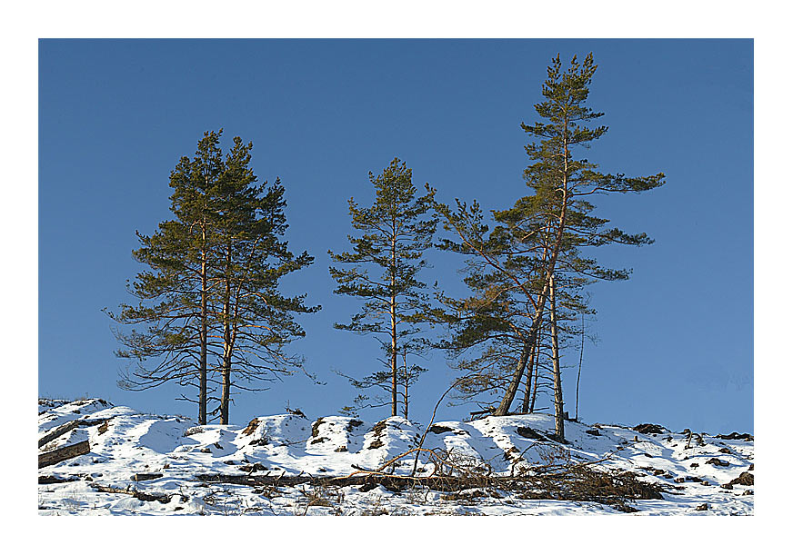 фото "..." метки: пейзаж, зима