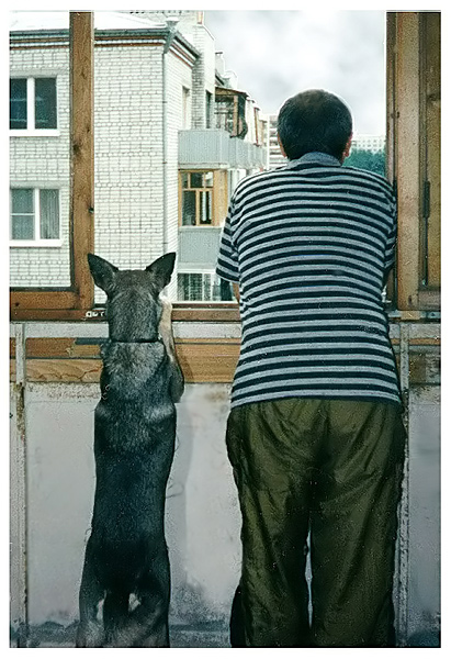 photo "The waiting" tags: genre, nature, pets/farm animals