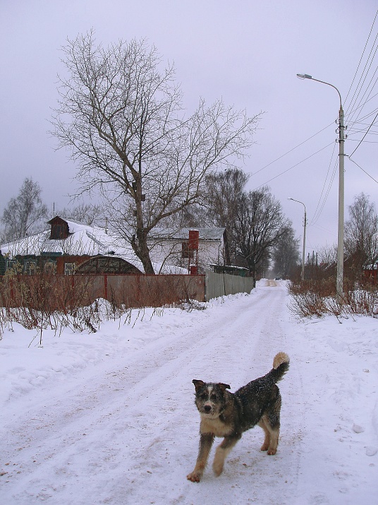 photo "***" tags: landscape, architecture, winter