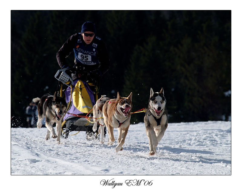photo "The race" tags: sport, 
