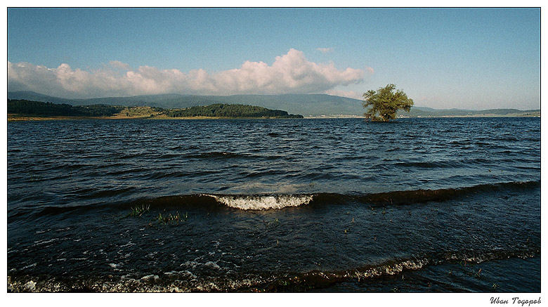 фото "the lake and the tree" метки: пейзаж, 