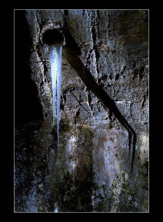 photo "shadow on the wall" tags: nature, 