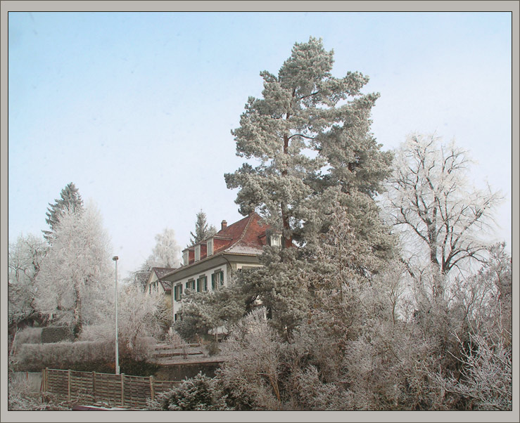 photo "***" tags: landscape, nature, winter