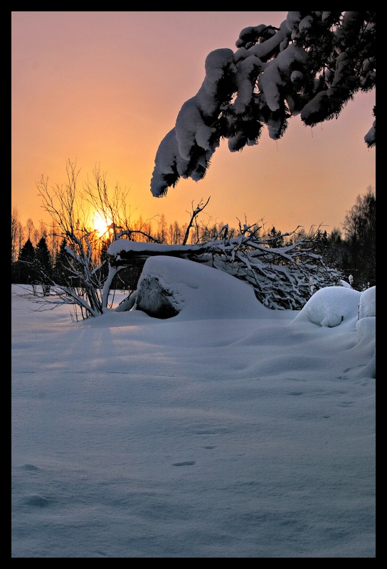 photo "Fabruary sunrise" tags: landscape, winter