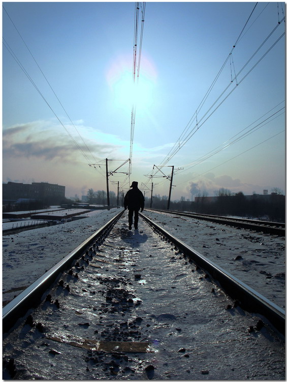 photo "То the south (escaping from a frost)." tags: humor, landscape, winter