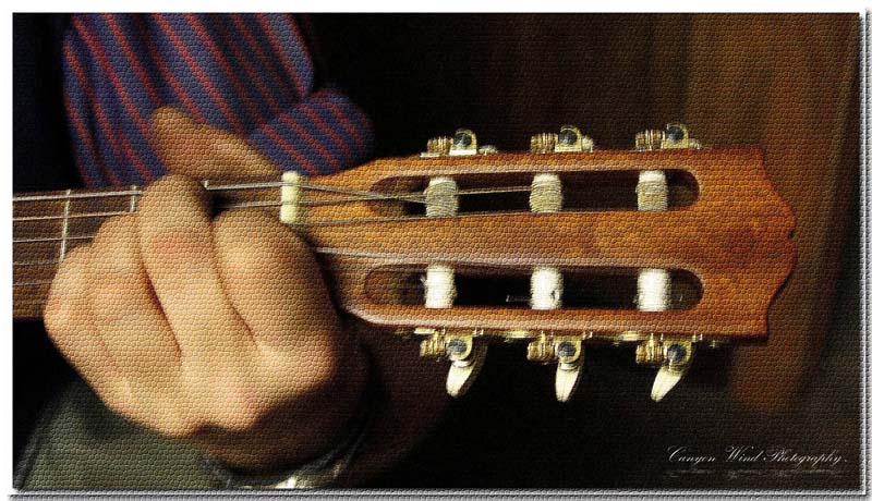 фото "" The Guitar Man "." метки: портрет, абстракция, 