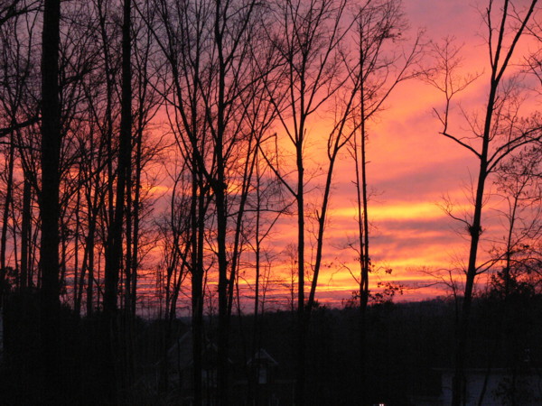 photo "Morning Sky" tags: landscape, nature, sunset