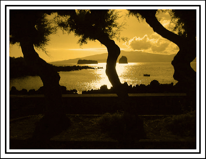 фото "The dancing trees" метки: пейзаж, вода, ночь