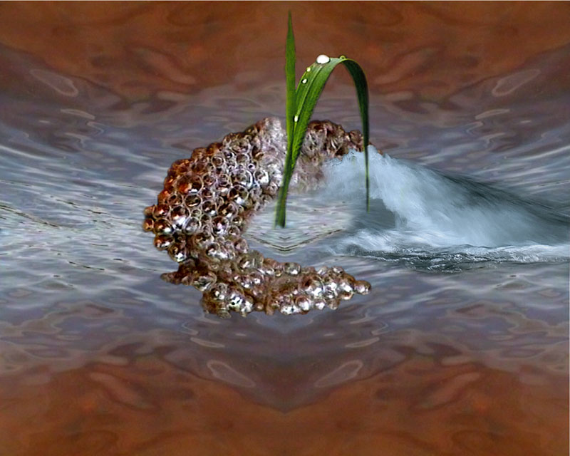 photo "***" tags: montage, 