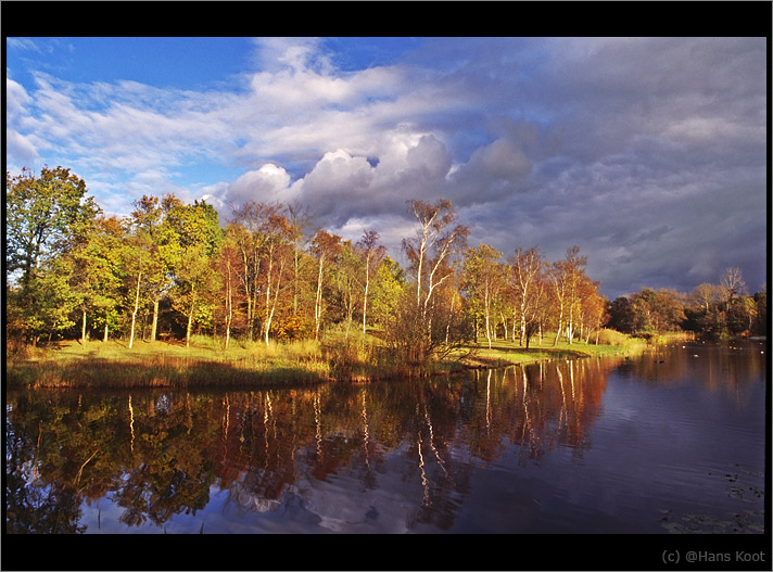 photo "Colourfull Chat" tags: landscape, forest