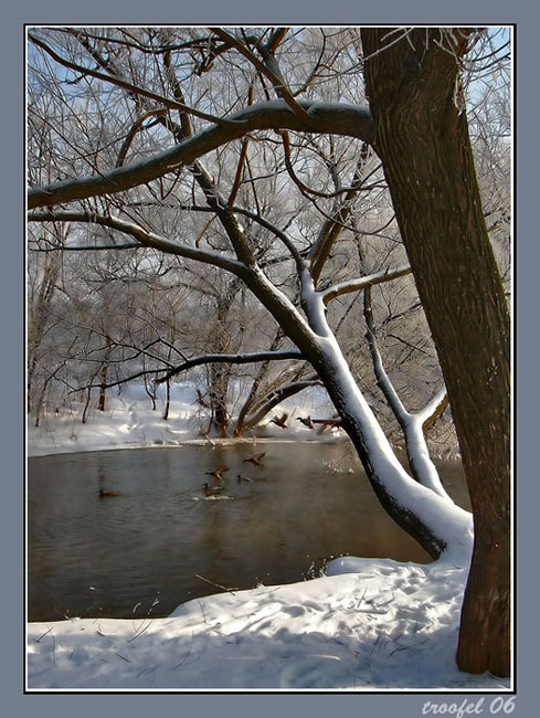 photo "***" tags: landscape, winter