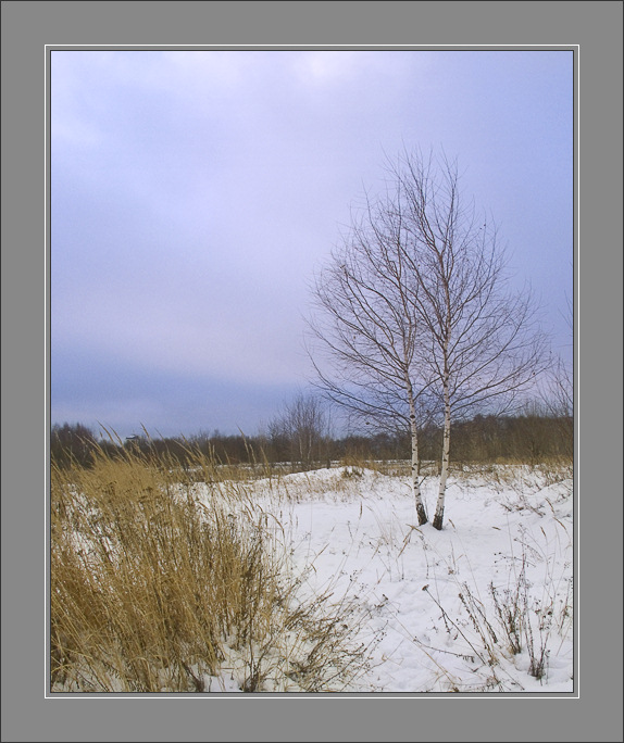 фото "Уголок природы" метки: пейзаж, зима